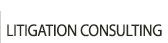 LITIGATION CONSULTING